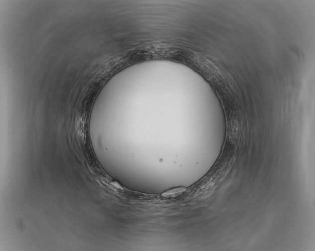 X0000112791010200909041408