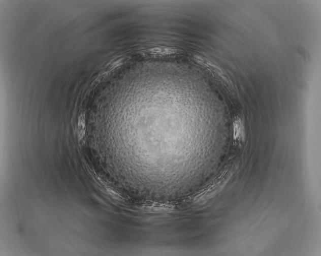 X0000112791011200909041408