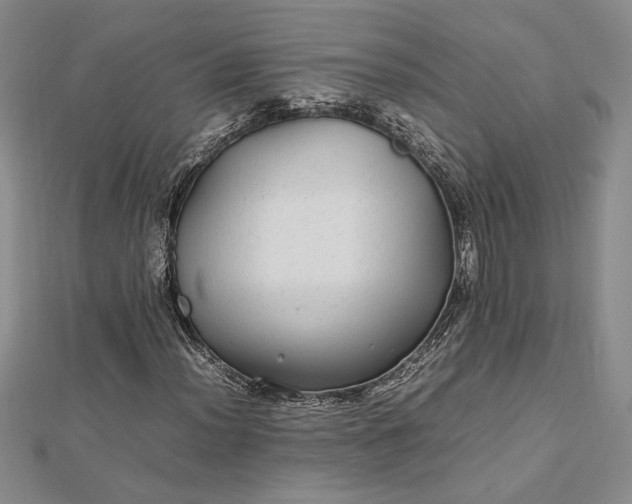 X0000112791012200909041408