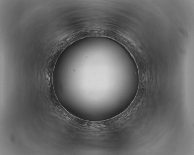 X0000112791013200909041408