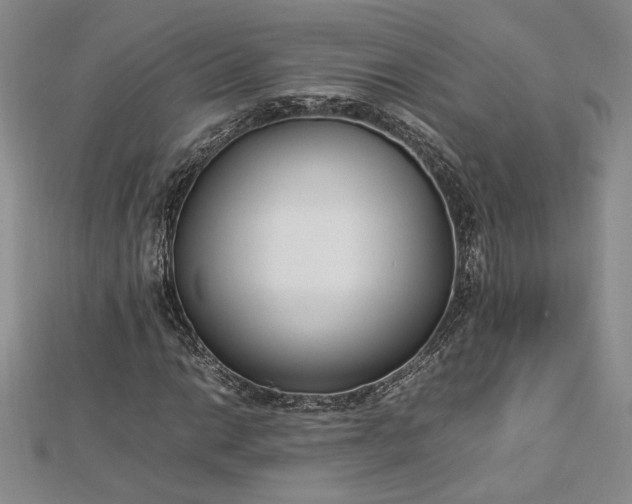 X0000112791014200909041408