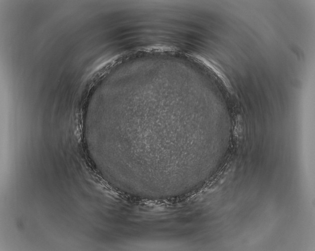 X0000112791015200909041408