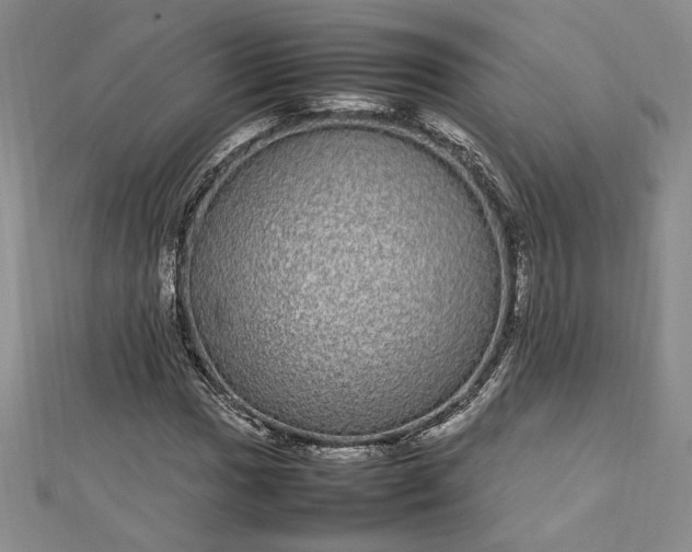 X0000112791017200909041408