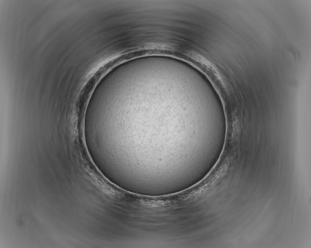 X0000112791019200909041408