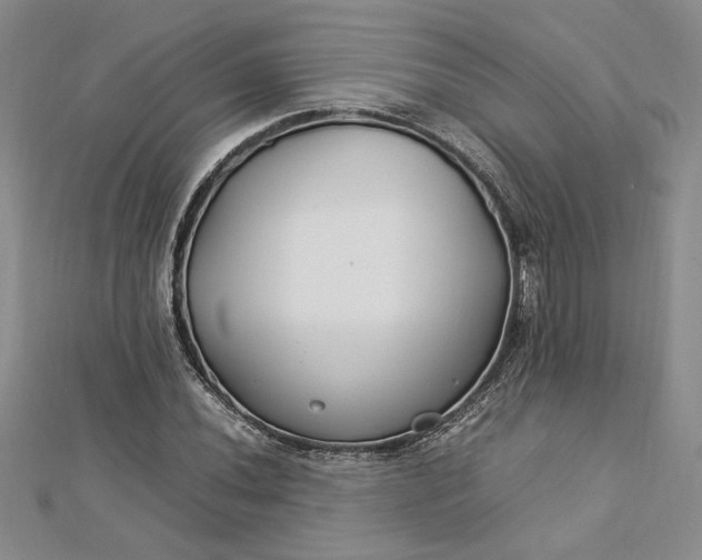 X0000112791020200909041408