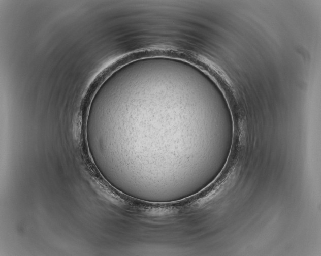 X0000112791021200909041408