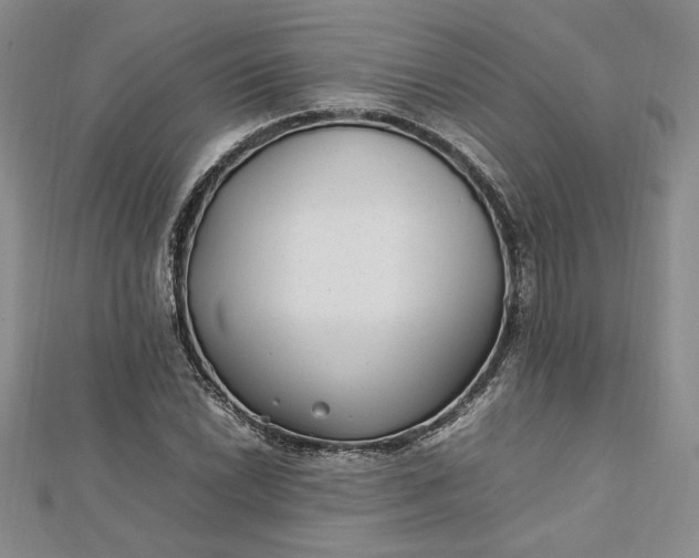 X0000112791022200909041408