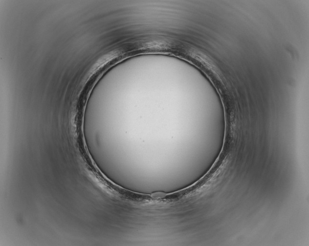 X0000112791026200909041408