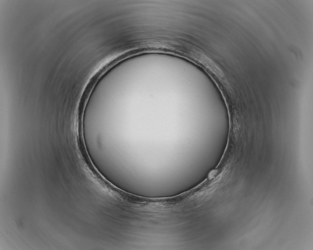 X0000112791028200909041408