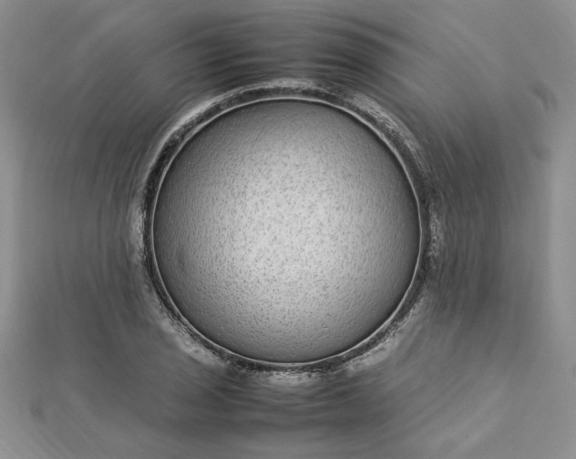 X0000112791029200909041408