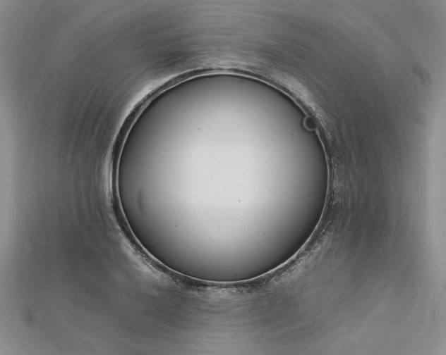 X0000112791032200909041408