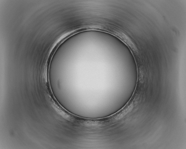 X0000112791036200909041408