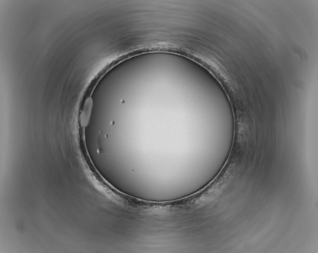 X0000112791038200909041408