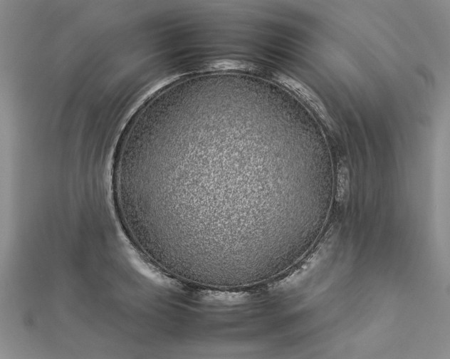 X0000112791039200909041408