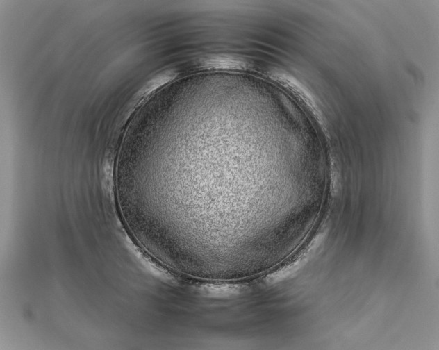 X0000112791041200909041408