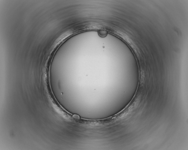 X0000112791042200909041408