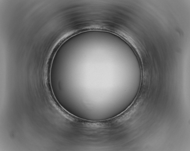 X0000112791045200909041408