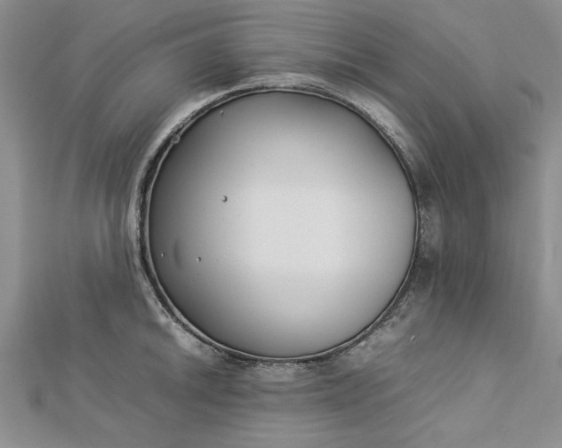 X0000112791046200909041408