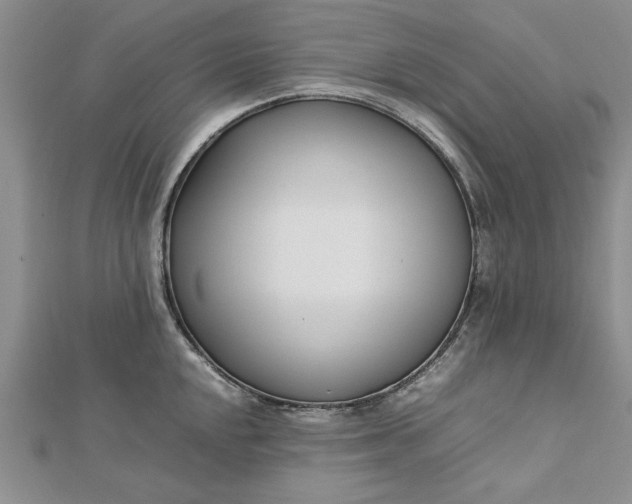 X0000112791048200909041408