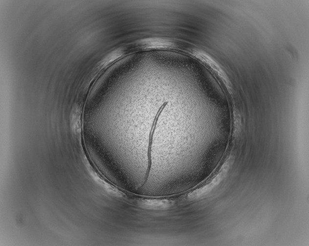 X0000112791049200909041408