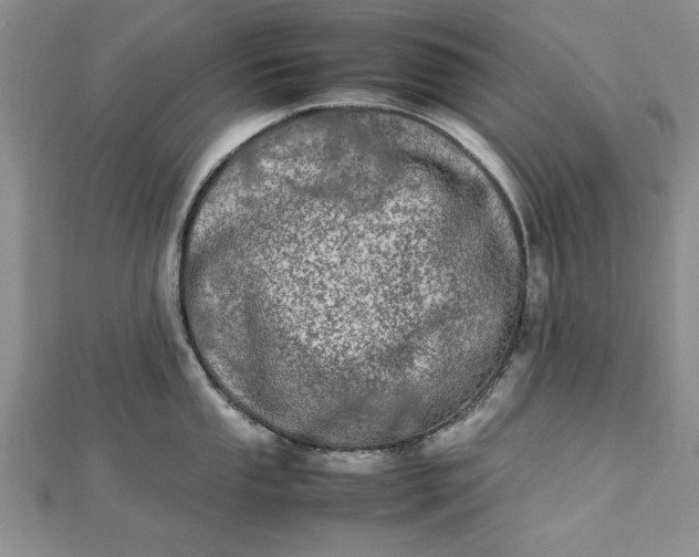 X0000112791053200909041408