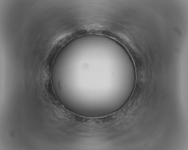 X0000112791063200909041407