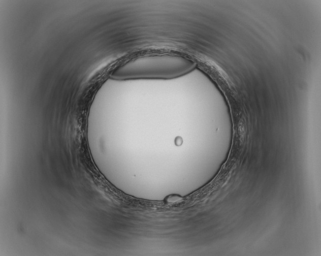 X0000112791064200909041407