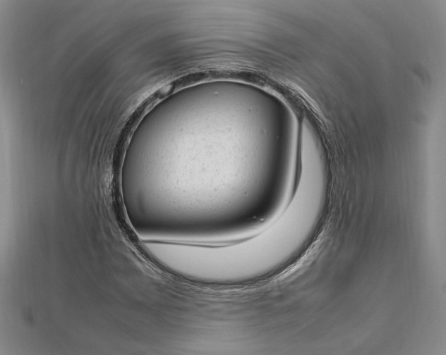 X0000112791065200909041407