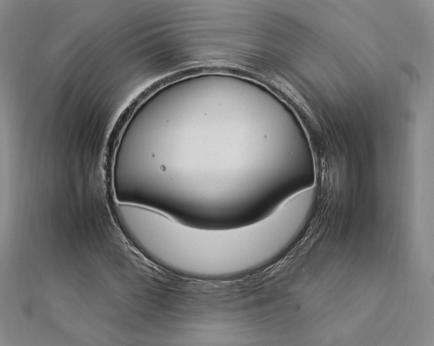 X0000112791068200909041407