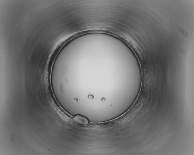 X0000112791072200909041407