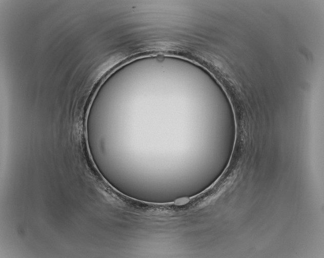 X0000112791073200909041407