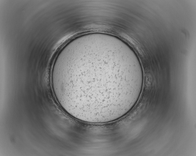 X0000112791074200909041407