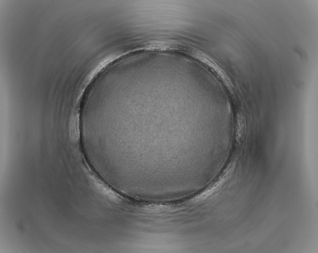 X0000112791075200909041407