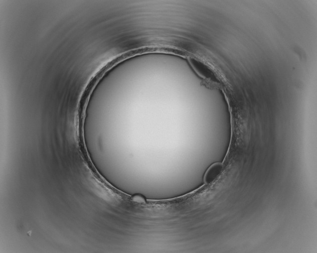 X0000112791076200909041407