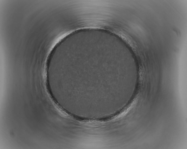 X0000112791077200909041407