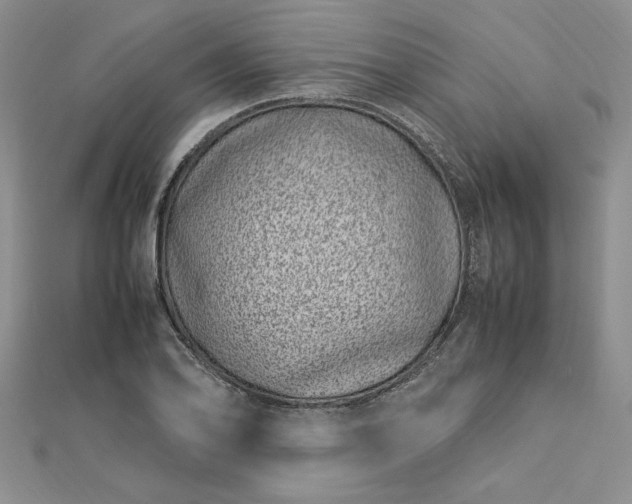 X0000112791078200909041407