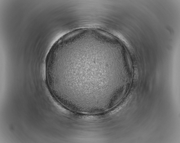 X0000112791079200909041407