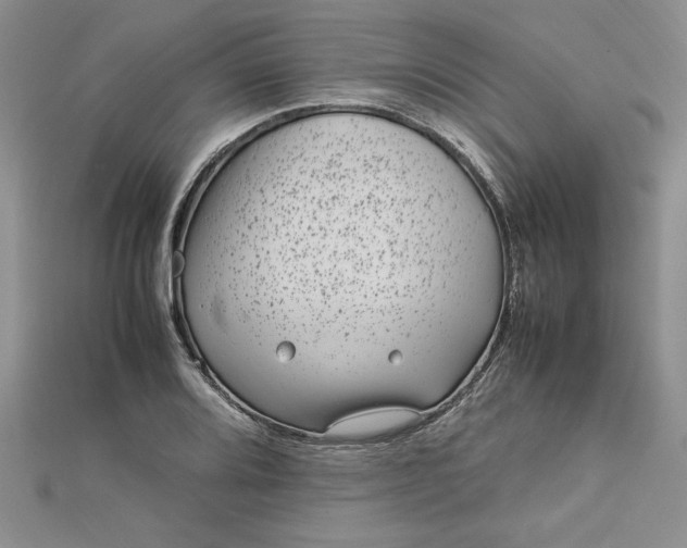 X0000112791080200909041407