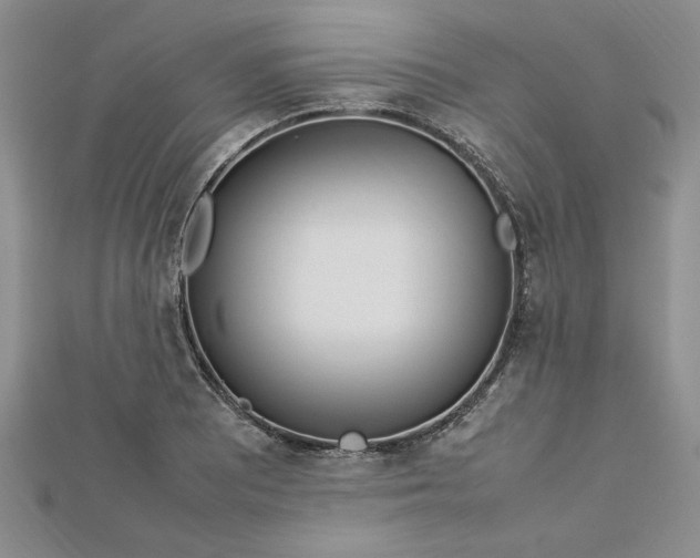 X0000112791081200909041407