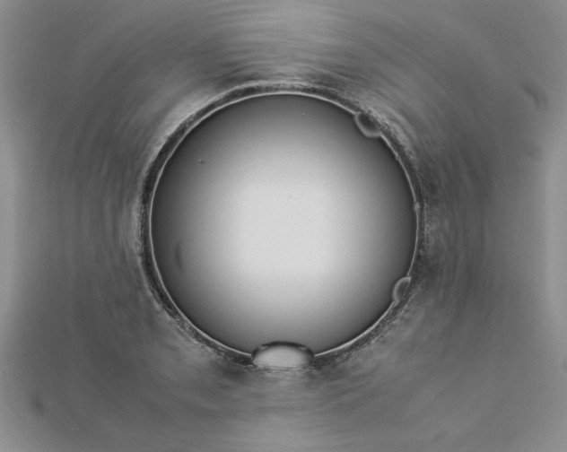 X0000112791085200909041407