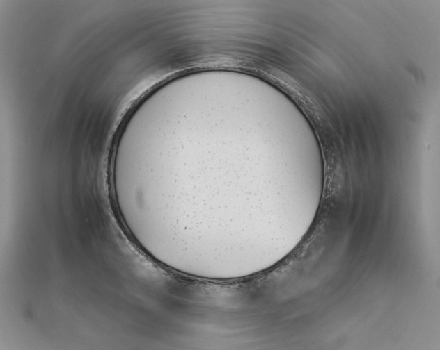 X0000112791086200909041407