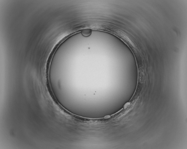 X0000112791087200909041407