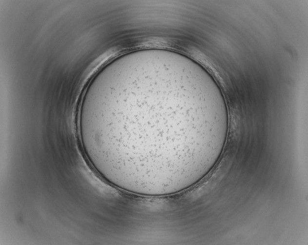 X0000112791090200909041407