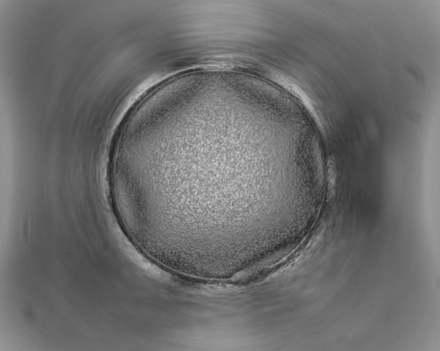 X0000112791091200909041407