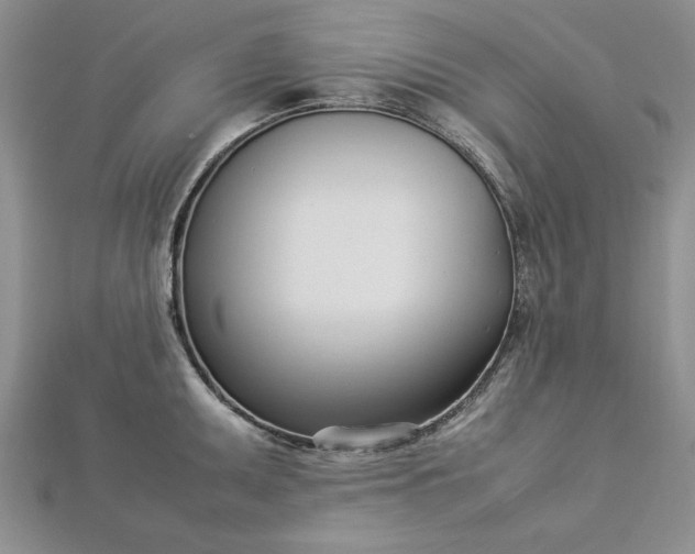 X0000112791095200909041407