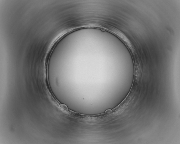 X0000112791096200909041407