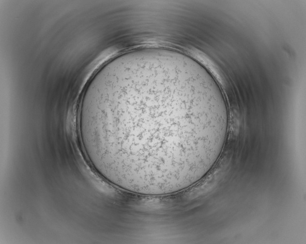 X0000112791098200909041407