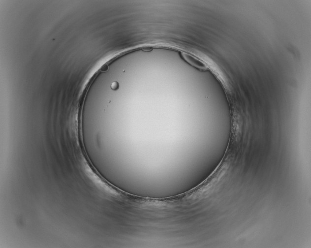 X0000112791100200909041407