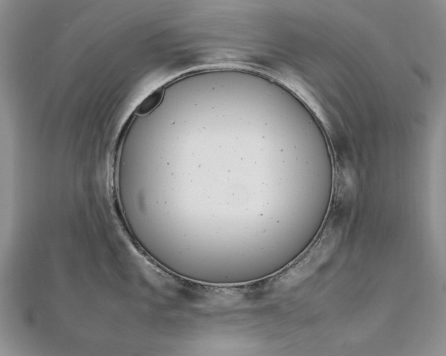 X0000112791101200909041407