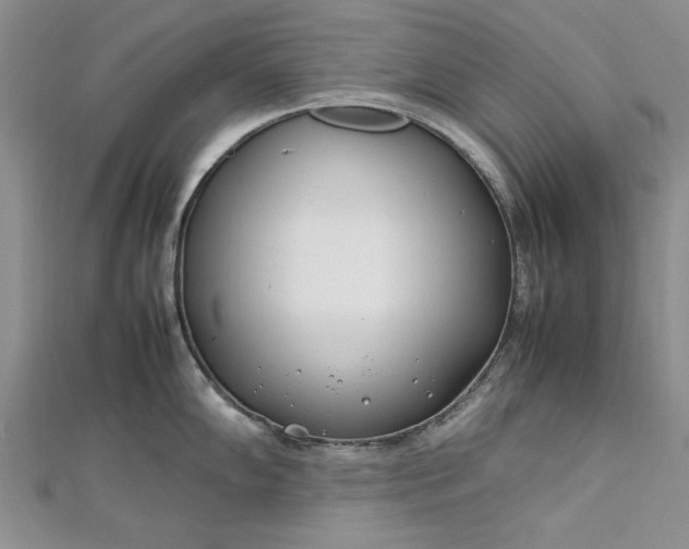 X0000112791102200909041407